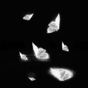 四虎国产精品亚洲一区久久特色
