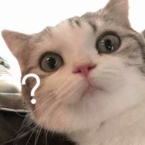 四虎国产精品亚洲一区久久特色
